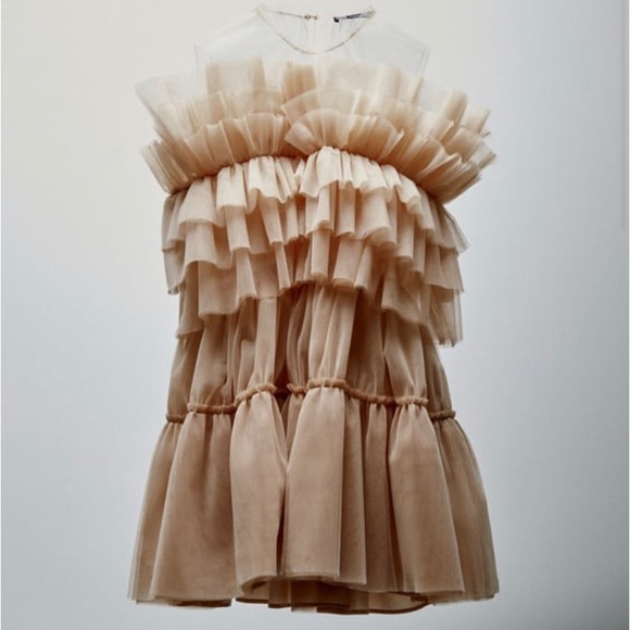 Zara Blogger Fav Limited Edition Tulle Dress - Picture 3 of 5